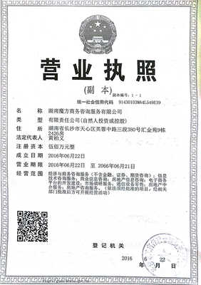 湖南魔方商務(wù)咨詢服務(wù) 專業(yè)銷售與技術(shù)咨詢的完美融合