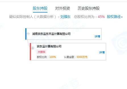 劉強東的再出發 退出云計算公司，押注無人機與室內裝修新賽道